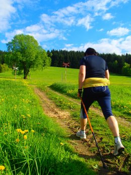 Nordic Walking II. Po valašských kopcoch._1072