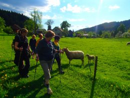 Nordic Walking II. Po valašských kopcoch._1133