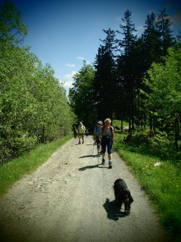 Nordic Walking II. Po valašských kopcoch._1247