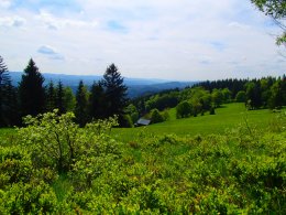 Nordic Walking II. Po valašských kopcoch._1278