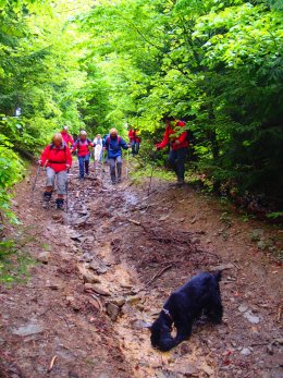 Nordic Walking II. Po valašských kopcoch._813