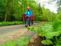 Nordic Walking II. Po valašských kopcoch._862